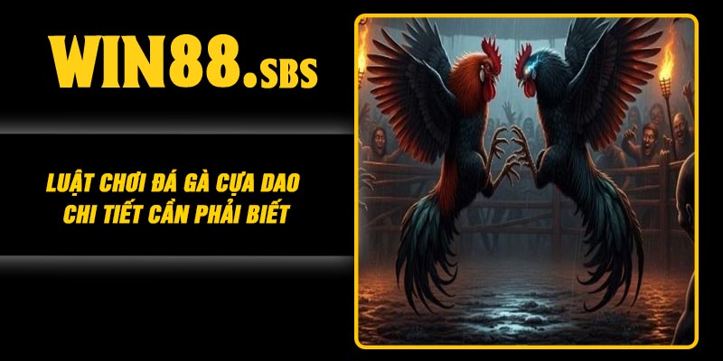 Luật chơi đá gà cựa dao chi tiết cần phải biết