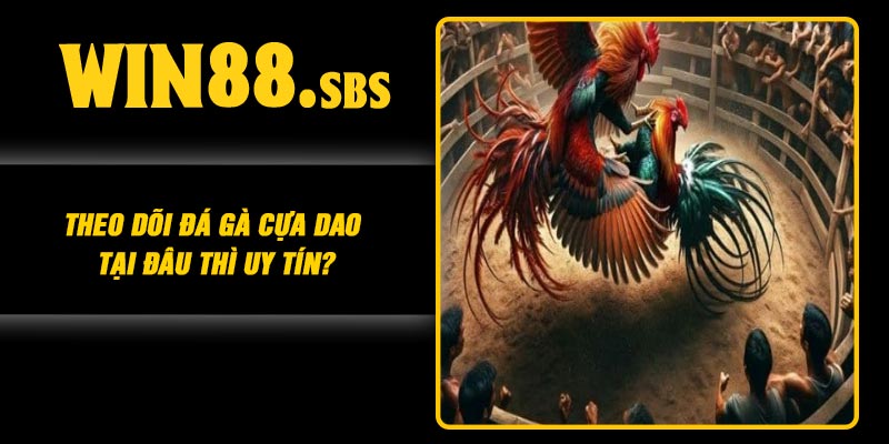 Theo dõi đá gà cựa dao tại đâu thì uy tín?