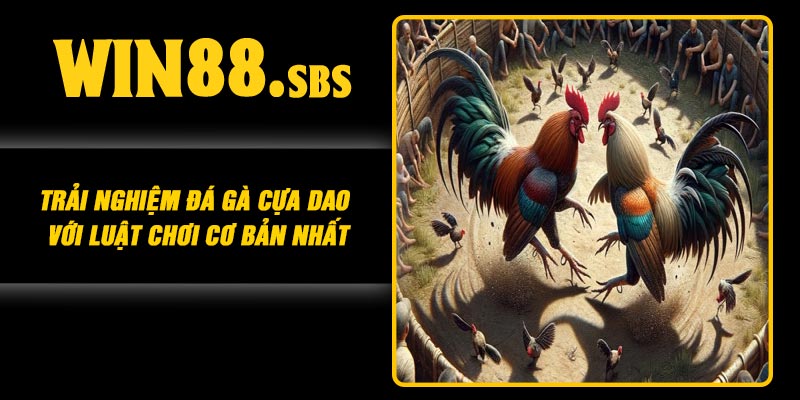 Trải Nghiệm Đá Gà Cựa Dao Với Luật Chơi Cơ Bản Nhất